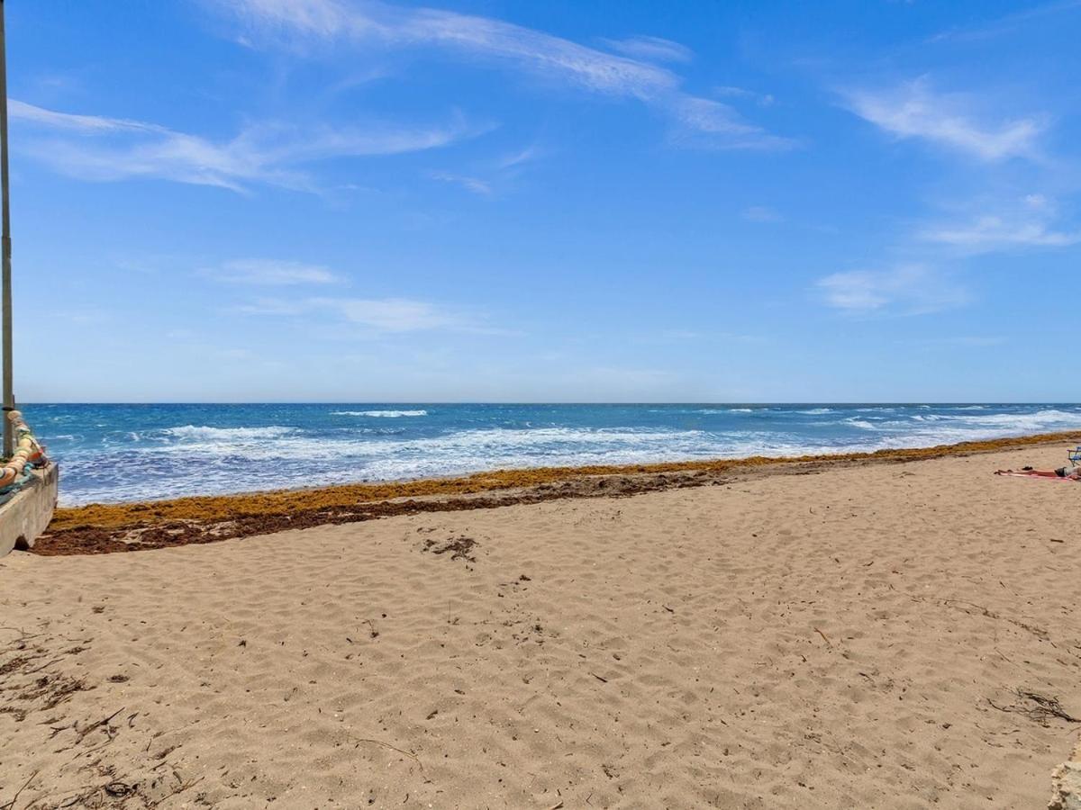 The Shell On Walnut Studio With Bath Hollywood Beach Free Parking Dania Beach Ngoại thất bức ảnh