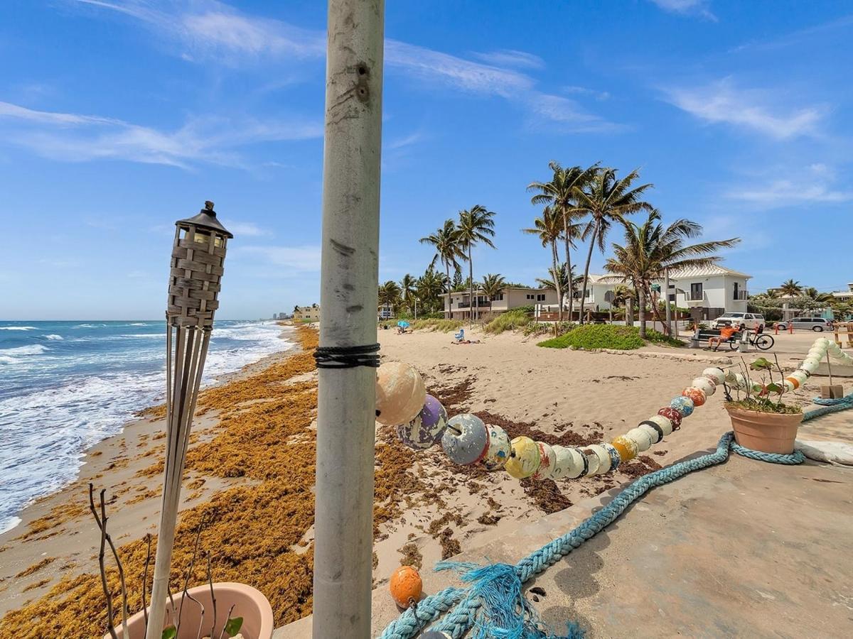 The Shell On Walnut Studio With Bath Hollywood Beach Free Parking Dania Beach Ngoại thất bức ảnh